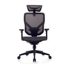 E-Form Ergonomic Mesh Chair